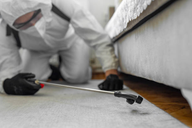 Professional Cockroach Control technician working in High Point, FL