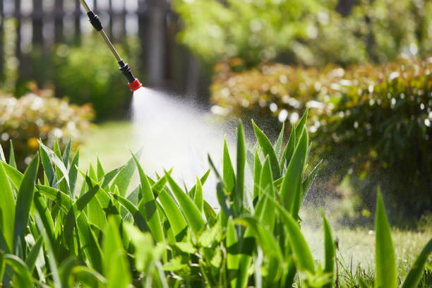 24/7 Emergency Cockroach Control experts in High Point, FL