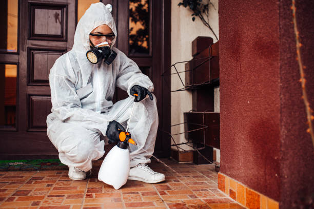Reliable Cockroach Control contractor in High Point, FL by Nex Pest Control